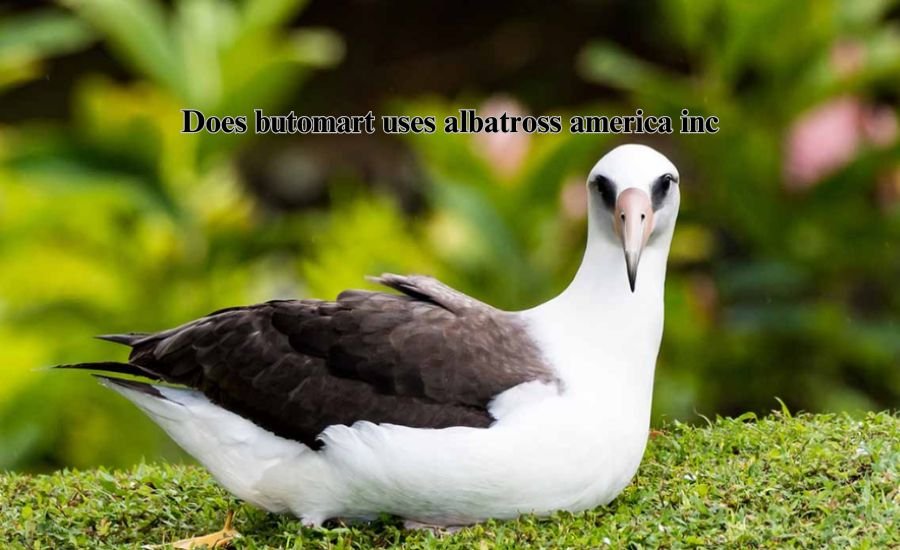 does butomart uses albatross america inc