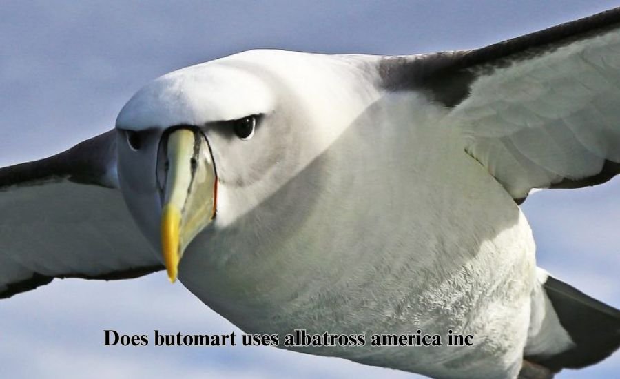 does butomart uses albatross america inc