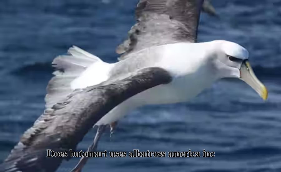 does butomart uses albatross america inc