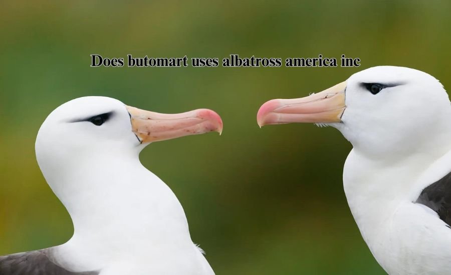 does butomart uses albatross america inc