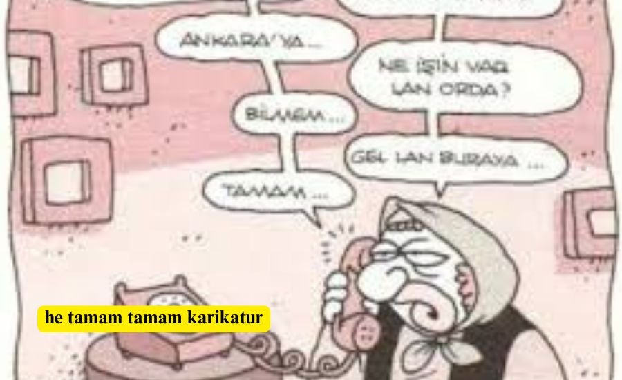 he tamam tamam karikatur