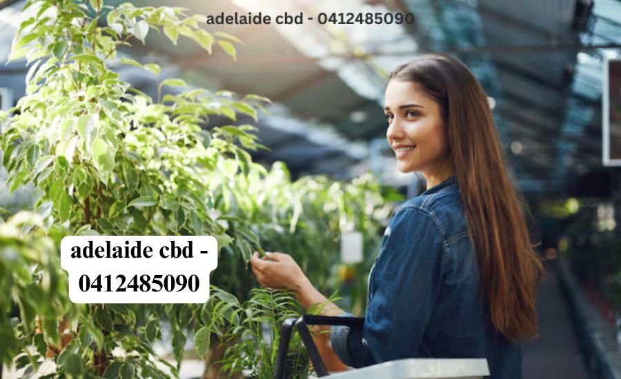 adelaide cbd - 0412485090