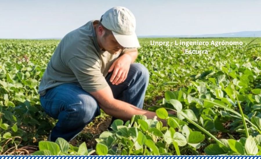 unprg - l ingeniero agrónomo escurra