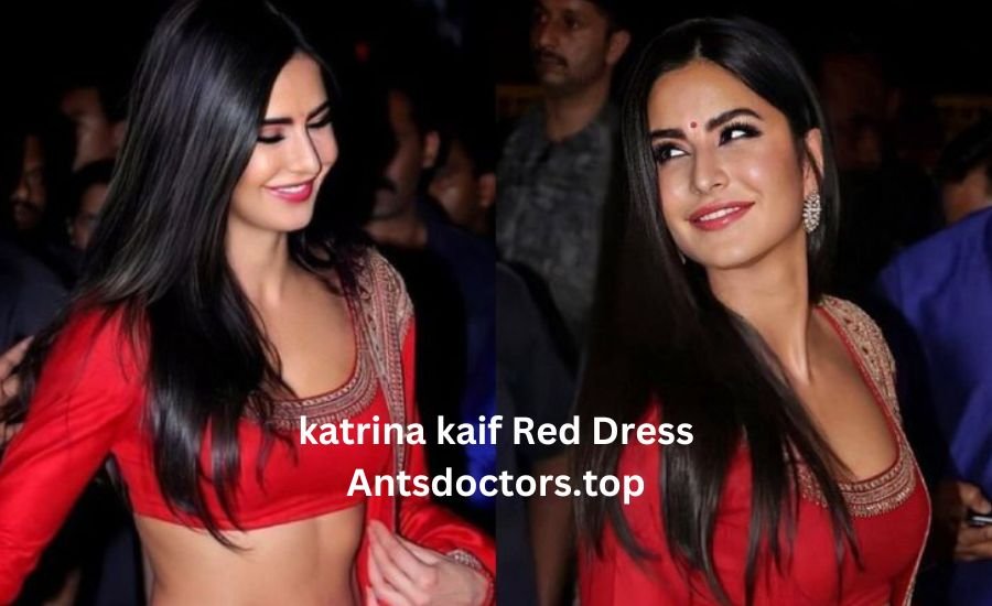 katrina kaif red dress antsdoctors.top